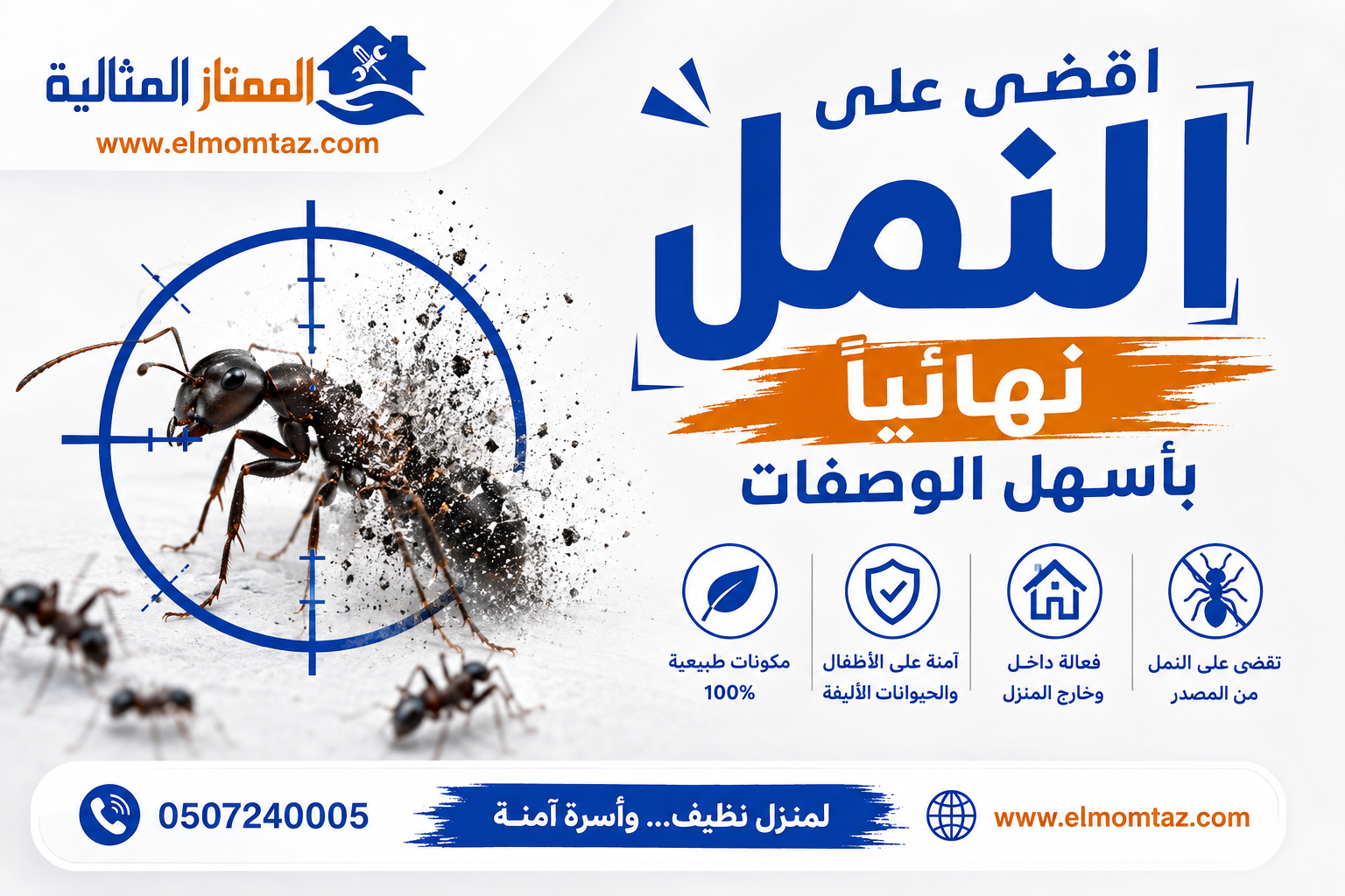 اقضى على النمل نهائيا بأسهل الوصفات