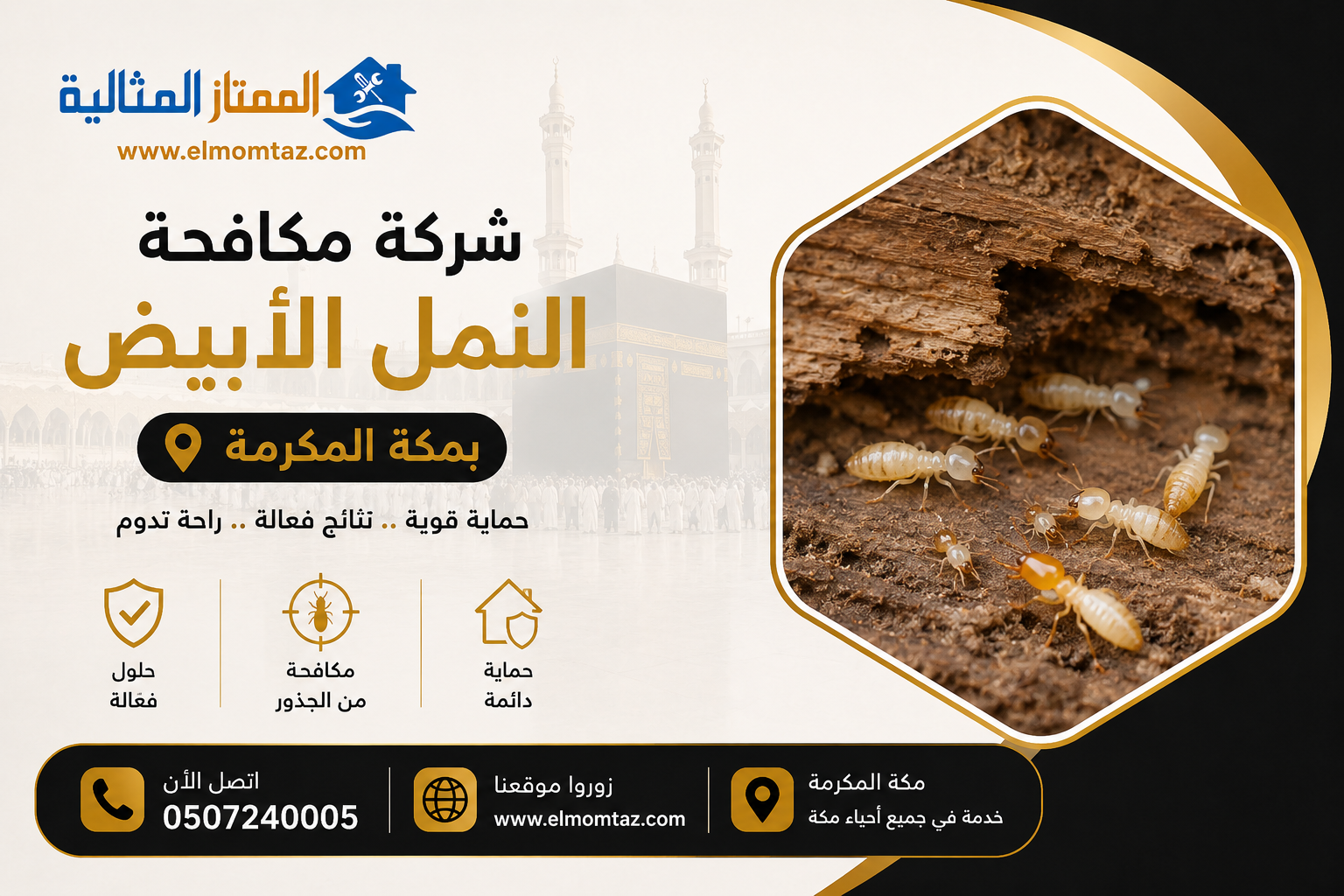 شركة مكافحة النمل الابيض بمكة