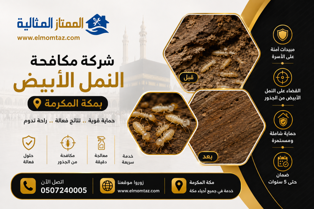 شركة مكافحة النمل الابيض بمكة