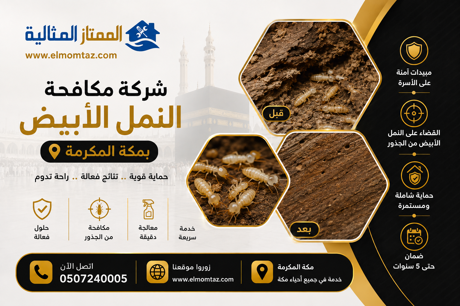شركة مكافحة النمل الابيض بمكة