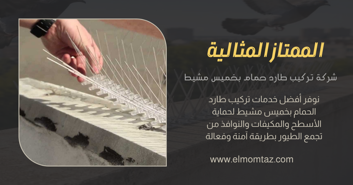 شركة مكافحة حمام بخميس مشيط