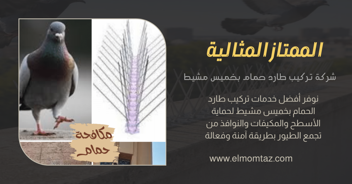 شركة مكافحة حمام بخميس مشيط