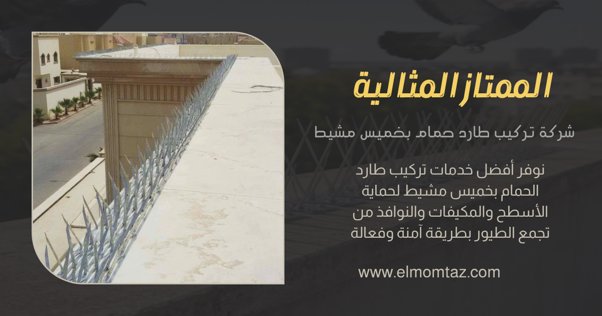 شركة مكافحة حمام بخميس مشيط